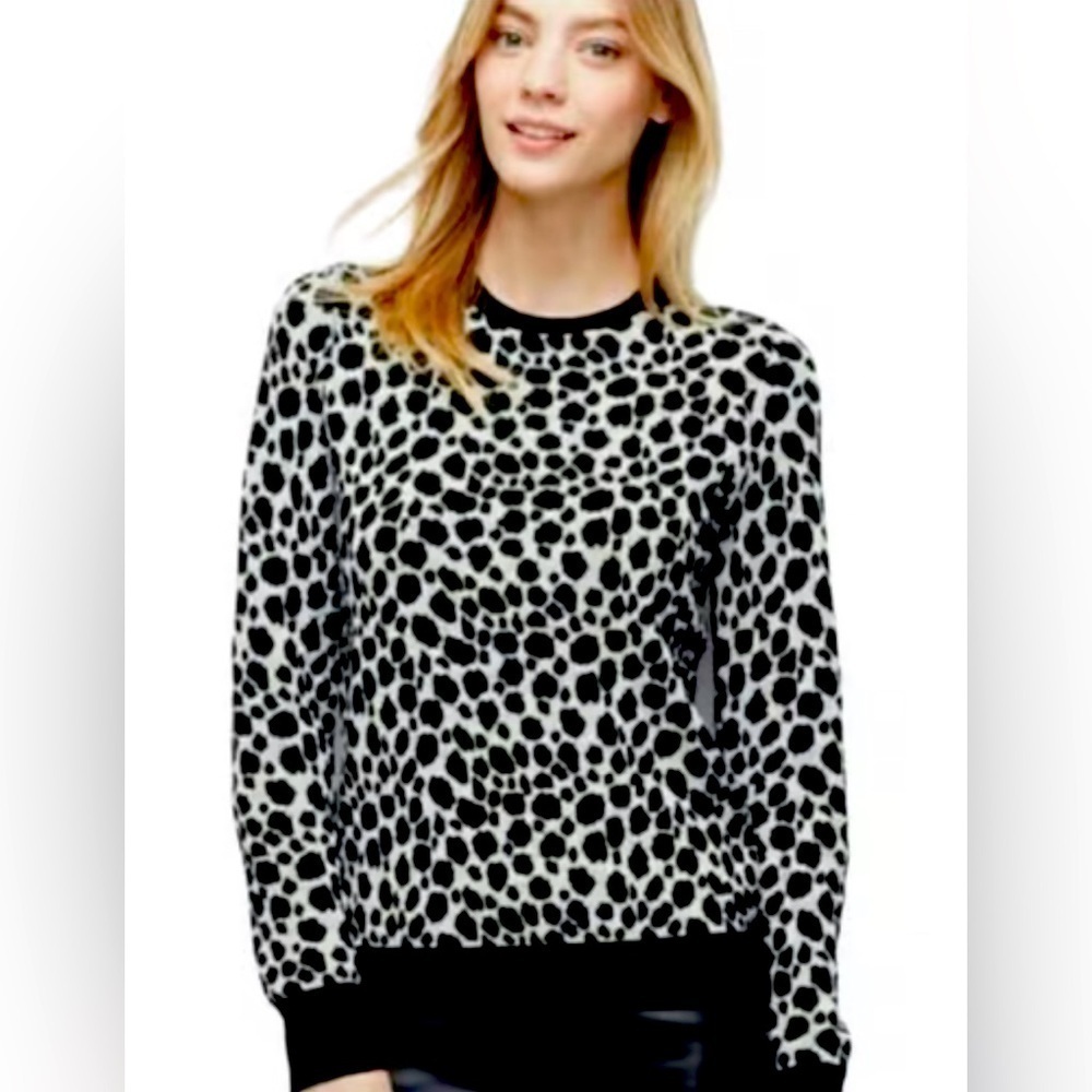 Ann Taylor Leopard Print Crewneck Sweater Size Medium